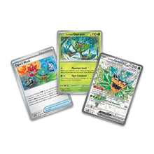 Pokémon TCG: Ogerpon Premium Box