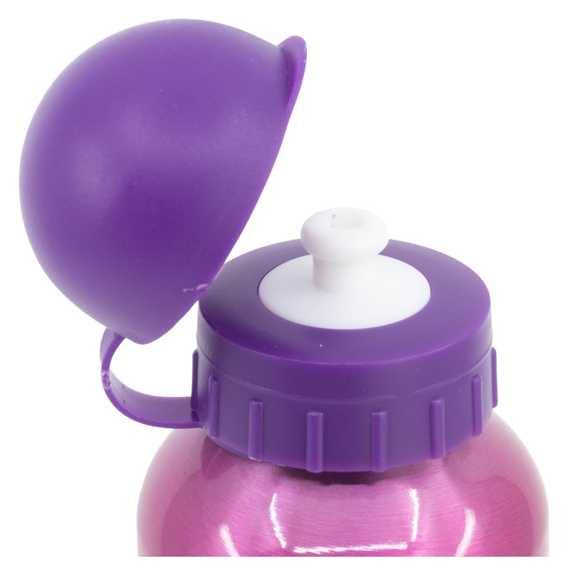 ALUMINIUM BOTTLE 400 ML DISNEY PRINCESS BRIGHT & BOLD