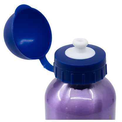 ALUMINIUM BOTTLE 400 ML FROZEN TRUST THE JOURNEY