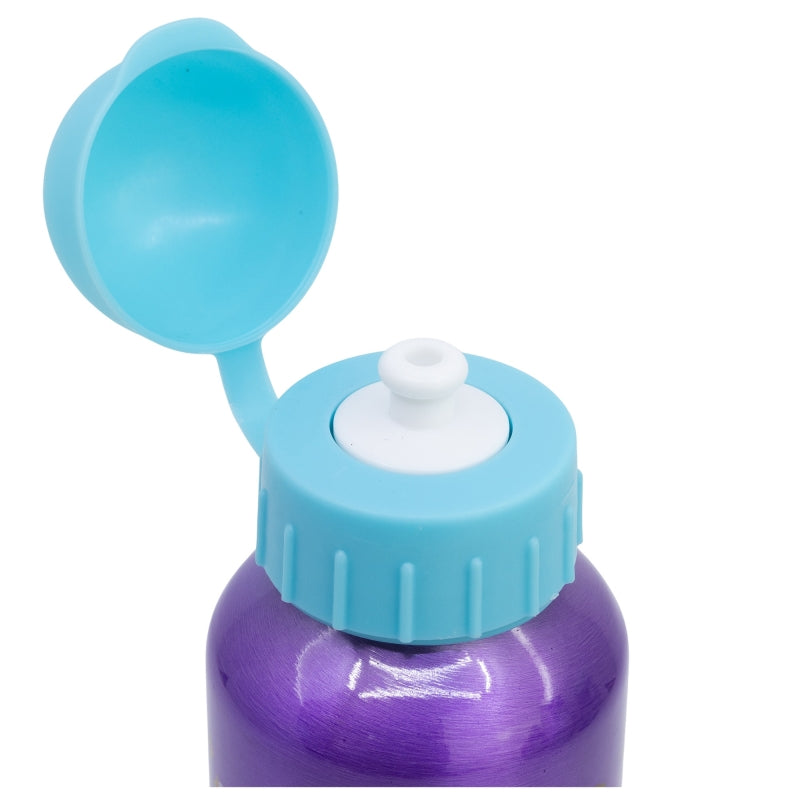 ALUMINIUM BOTTLE 400 ML PRINCESS COURAGEOUS HEART