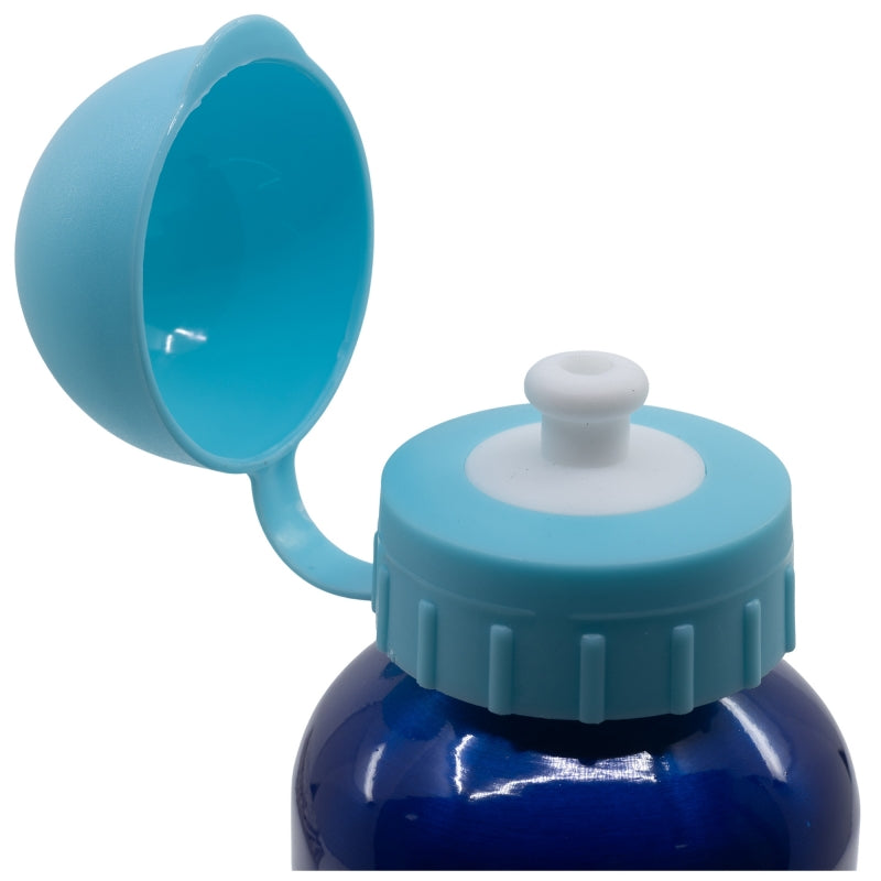 ALUMINIUM BOTTLE 400 ML STITCH PALMS