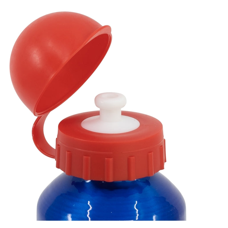 ALUMINIUM BOTTLE 400 ML SUPER MARIO