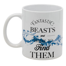 CERAMIC SB MUG 11 OZ IN BOX FANTASTIC BEASTS