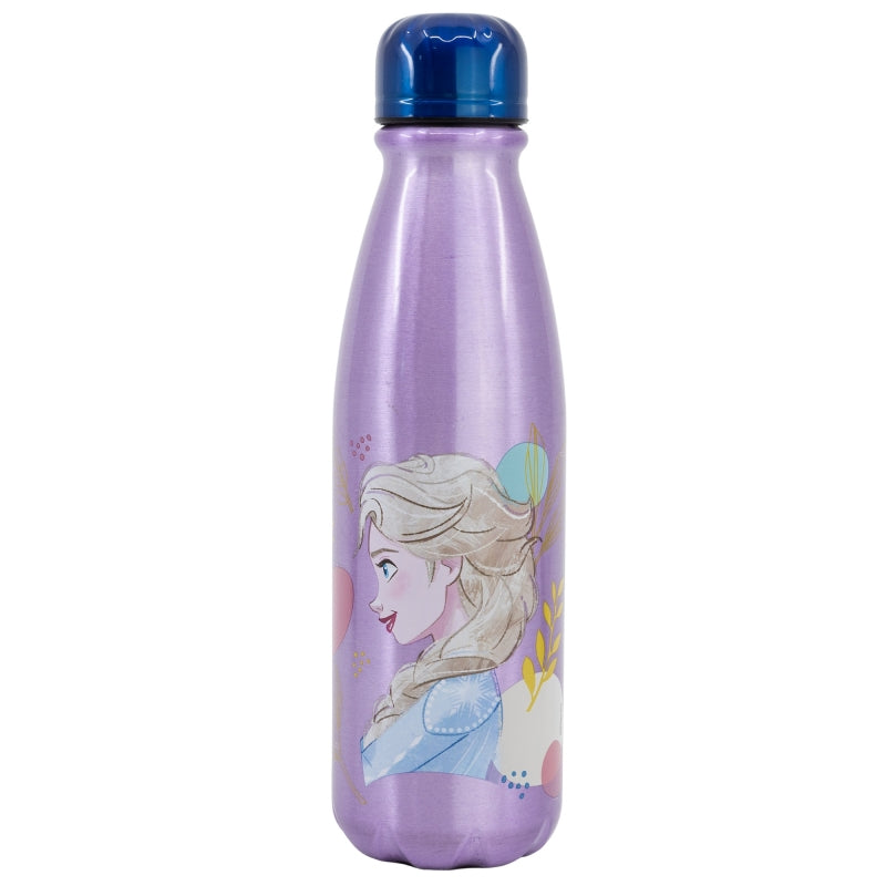 DAILY ALUMINIUM BOTTLE 600 ML FROZEN TRUST THE JOURNEY