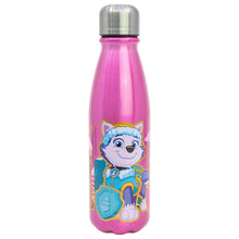 DAILY ALUMINIUM BOTTLE 600 ML PAW PATROL GIRL SUPERPOWERS