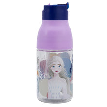 DOUBLE OPENING SIPPER ECOZEN BOTTLE 420 ML FROZEN TRUST THE JORNEY