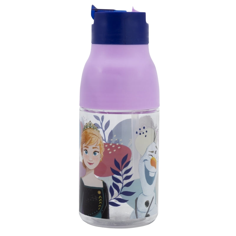 DOUBLE OPENING SIPPER ECOZEN BOTTLE 420 ML FROZEN TRUST THE JORNEY