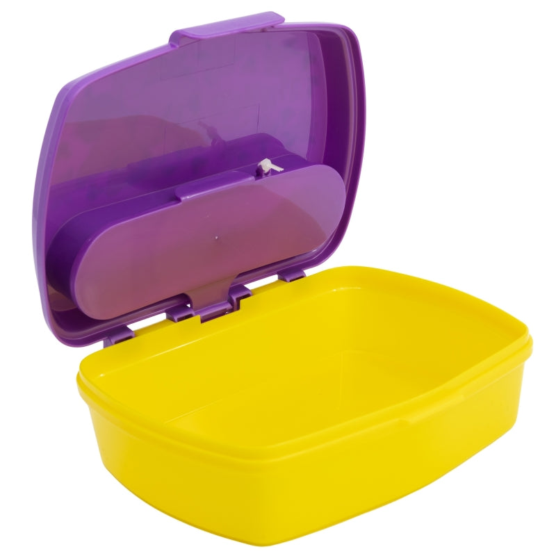 Minnie Sunshine Lunchbox met Bestek – BPA-vrije Broodtrommel voor Kinderen