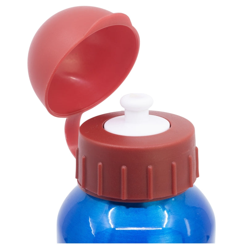 HIGH ALUMINIUM BOTTLE 530 ML MICKEY TRUE CHAMPIONS