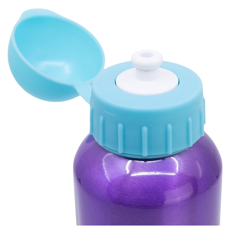 HIGH ALUMINIUM BOTTLE 530 ML PRINCESS COURAGEOUS HEART