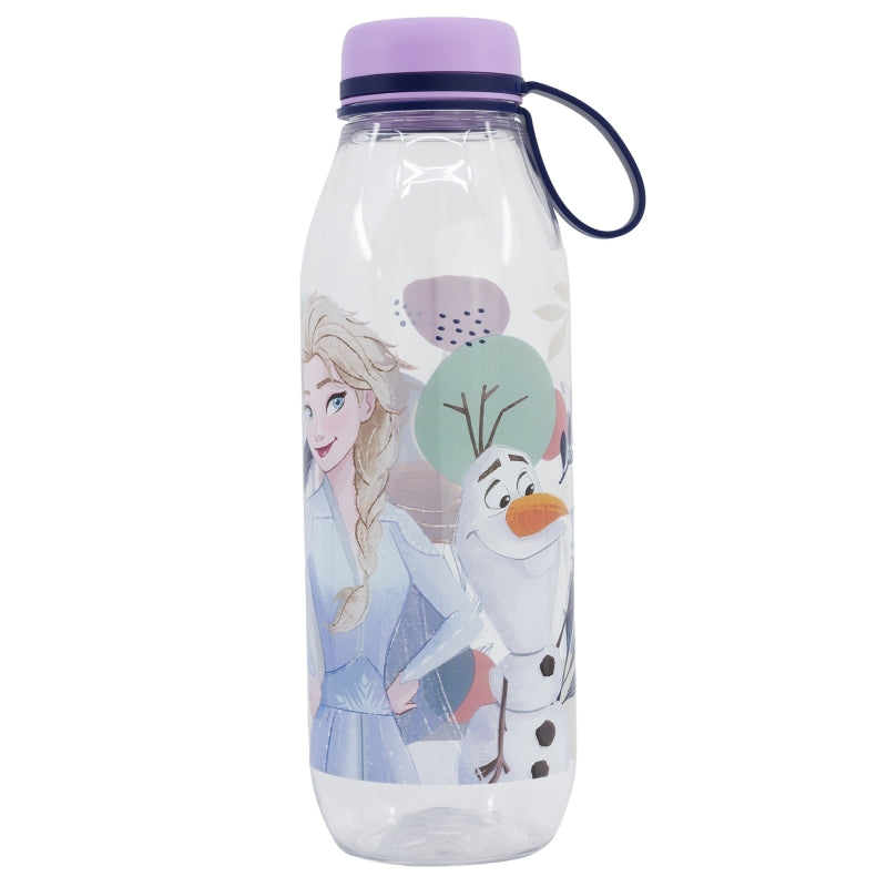 LARGE ECOZEN ADVENTURE BOTTLE 650 ML FROZEN