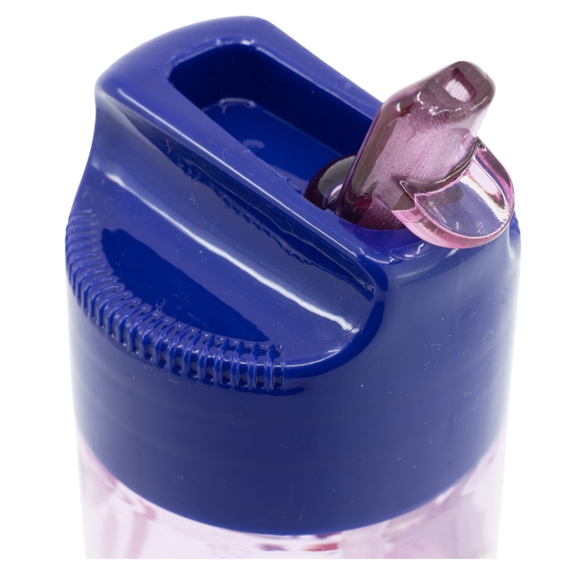 LARGE ECOZEN HYDRO BOTTLE 540 ML FROZEN TRUST THE JOURNEY