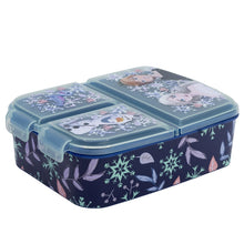 Frozen Snowy Tale Lunchbox met Vakken – BPA-vrije Broodtrommel voor Kinderen