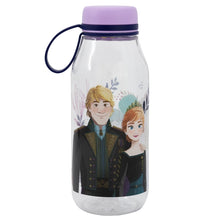 SMALL ECOZEN ADVENTURE BOTTLE 460 ML FROZEN