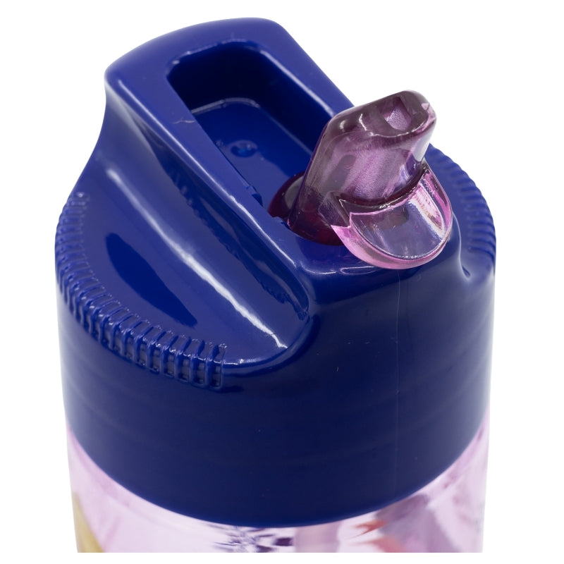 SMALL ECOZEN HYDRO BOTTLE 430 ML FROZEN TRUST THE JOURNEY